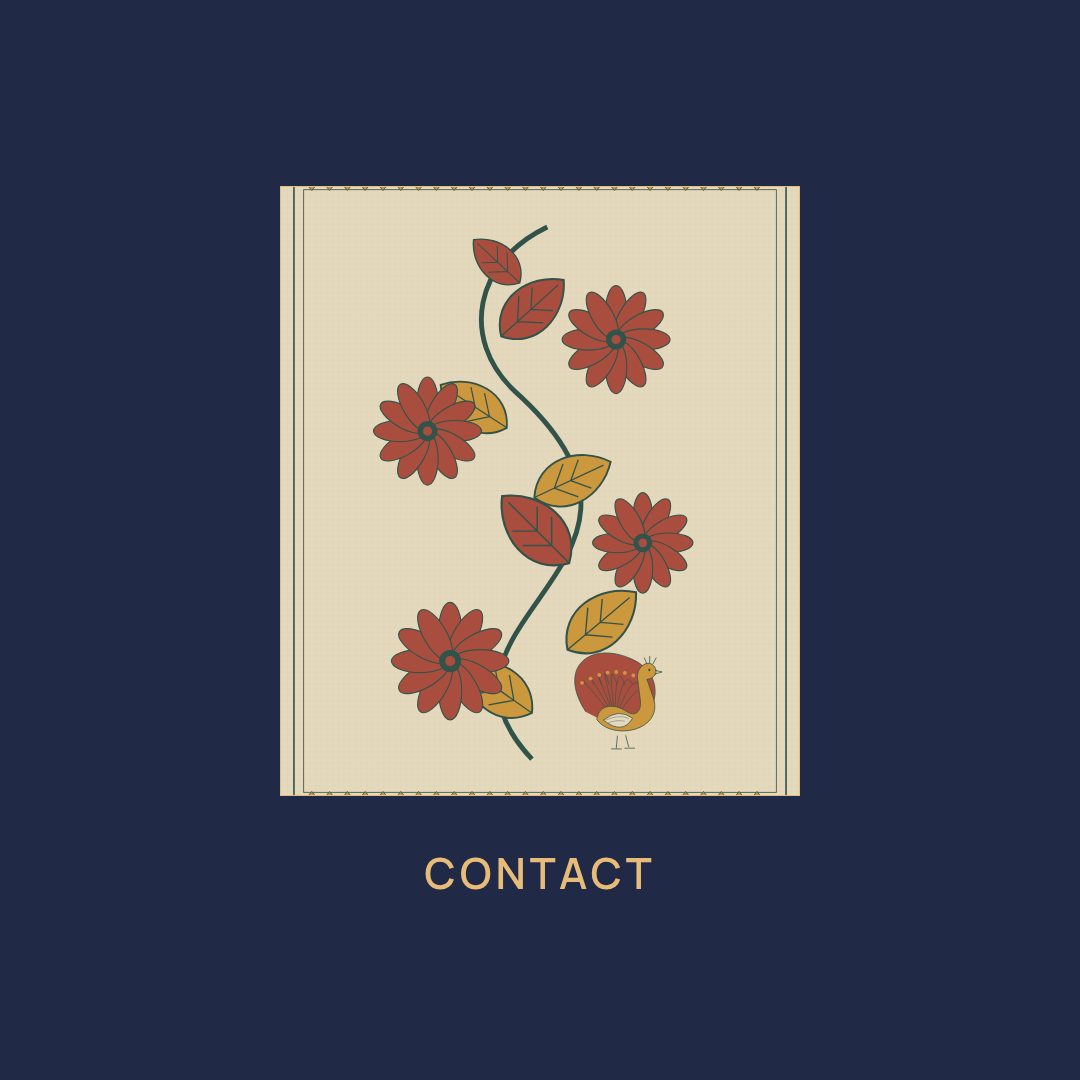 Instagram highlight / Contact
